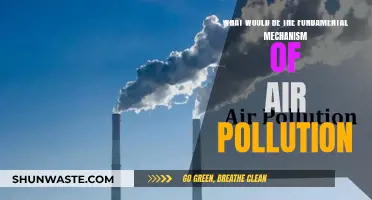 Air Pollution: Understanding the Core Mechanisms