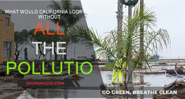 A Green Dream: California's Clean Future