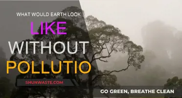 A Glimpse of Earth Without Pollution