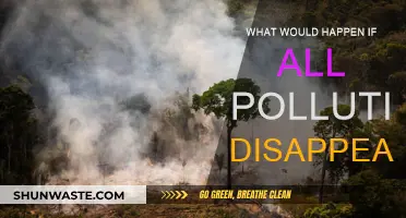The World Without Pollution: A Fantasy or Reality?