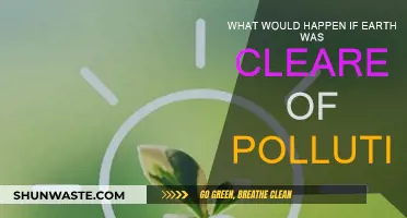 A World Without Pollution: Earth's Revival