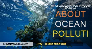 The Ocean's Future: Doing Nothing About Pollution