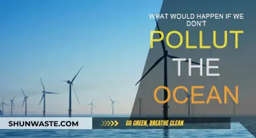 A Healthy Ocean: Benefits of Stopping Pollution