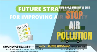 Air Pollution: A Future of Devastation and Loss
