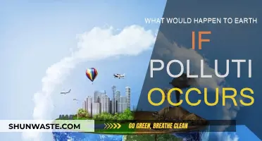 The Earth's Future: Pollution's Impact