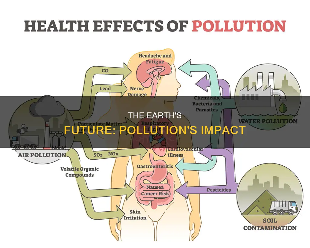 what would happen to earth if pollution occurs