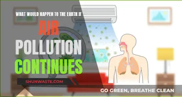 The Earth's Future: Air Pollution's Impact