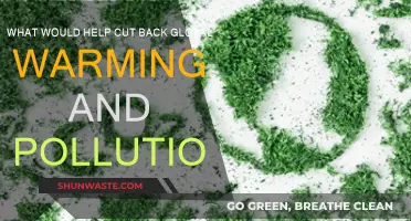 Reducing Global Warming: Practical Steps to Cut Pollution