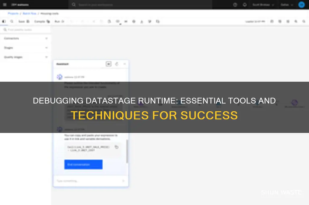 what would help debug the run time environment in datastage