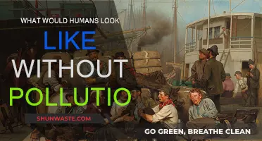 A World Without Pollution: Humans Reimagined