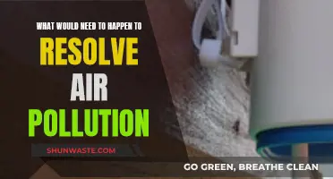 Solving Air Pollution: Steps to Breathe Easier