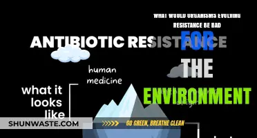 Resistant Organisms: Environmental Consequences of Evolving Resistance Explained