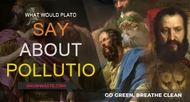 Plato's Perspective on Pollution: Ancient Wisdom for Modern Crisis