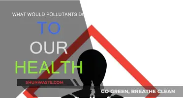 How Pollutants Affect Our Health