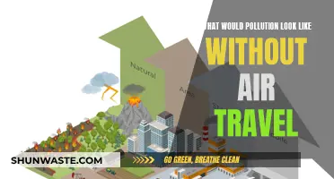 Air Travel's Impact: Pollution-Free Skies