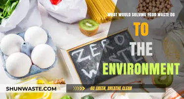 Sustainable Solutions: The Environmental Impact of Conquering Food Waste