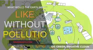A World Without Pollution: Nature's Perfect Balance