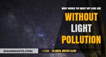 A Night Sky Without Light Pollution: A Pristine View