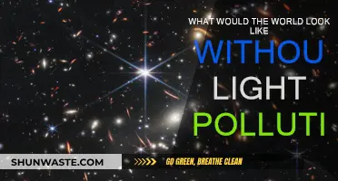 A World Without Light Pollution: Nature's Night Lights