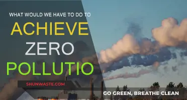 A Green Revolution: Strategies for Zero Pollution