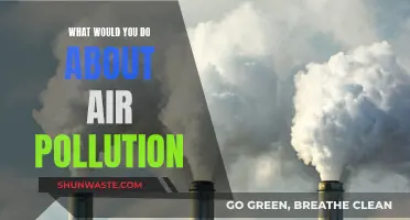 Air Pollution: Strategies for a Cleaner Tomorrow