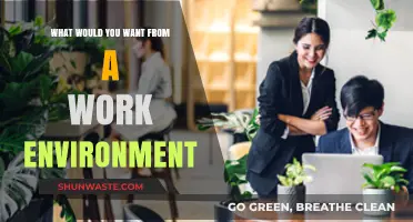 Crafting the Ideal Workplace: Key Elements for a Fulfilling Work Environment