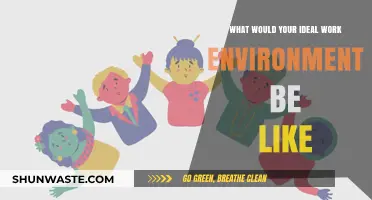 Crafting Your Dream Workplace: Ideal Work Environment Essentials