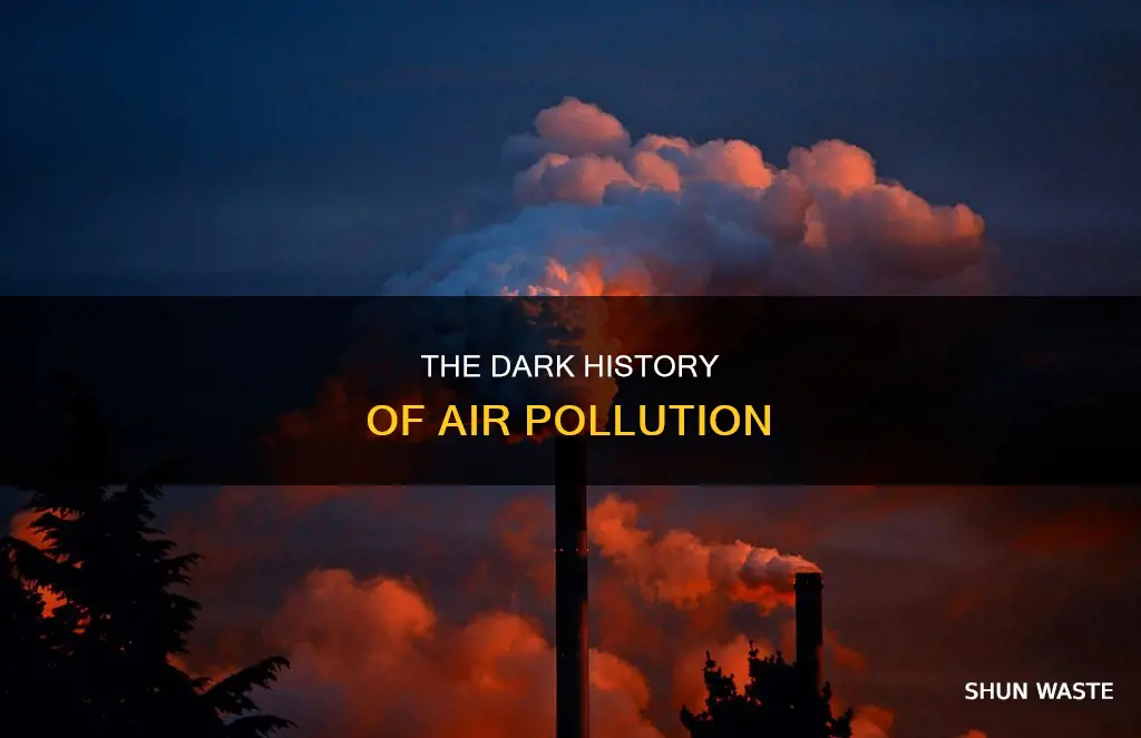 what year did humans air pollution