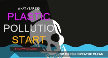The Dark History of Plastic Pollution