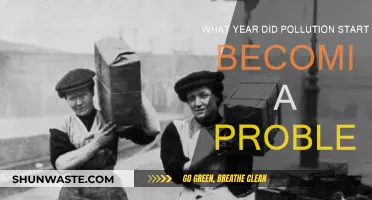 The Dark History of Pollution: When Did It Begin?