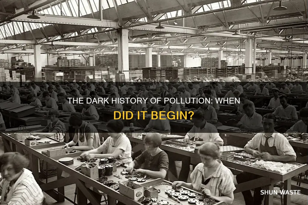 what year did pollution start becoming a problem