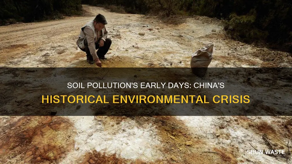 what year did soil pollution affect china