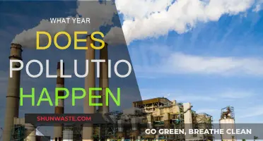 The Rise of Pollution: A Historical Perspective