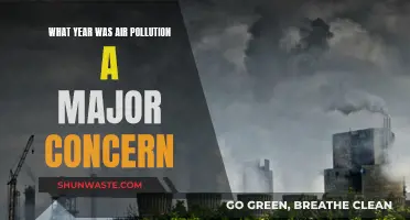 Air Pollution's Dark History: A Yearly Concern