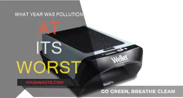 The Year Pollution Reached Its Peak