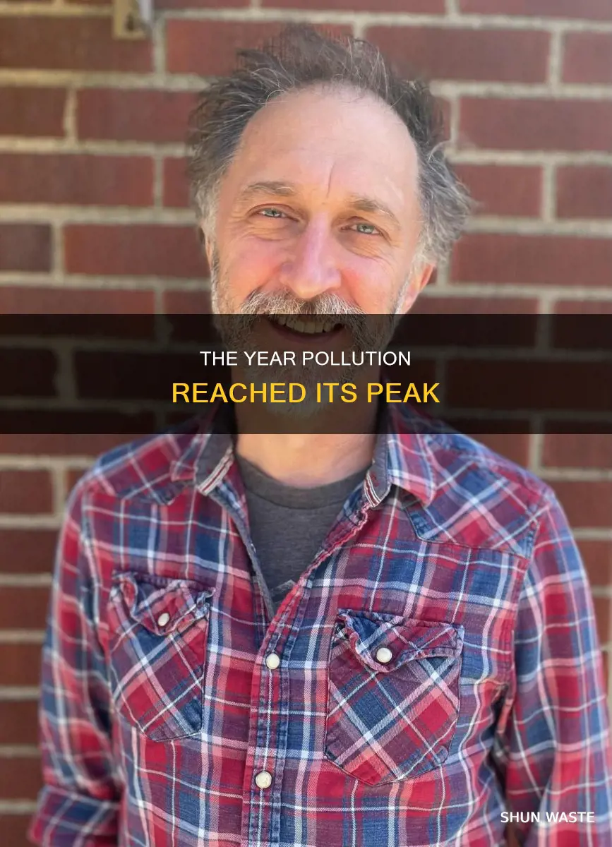 what year was pollution at its worst
