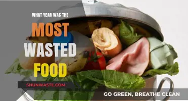 Food Waste Peak: A Yearly Analysis of Global Excess