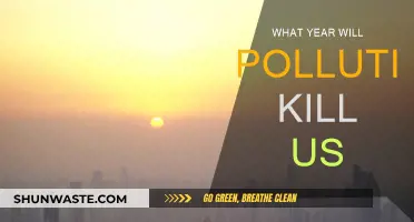The Deadly Countdown: Pollution's Fatal End Game