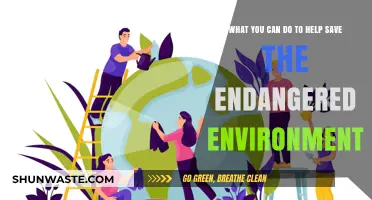 Act Now: Simple Steps to Protect Our Endangered Environment