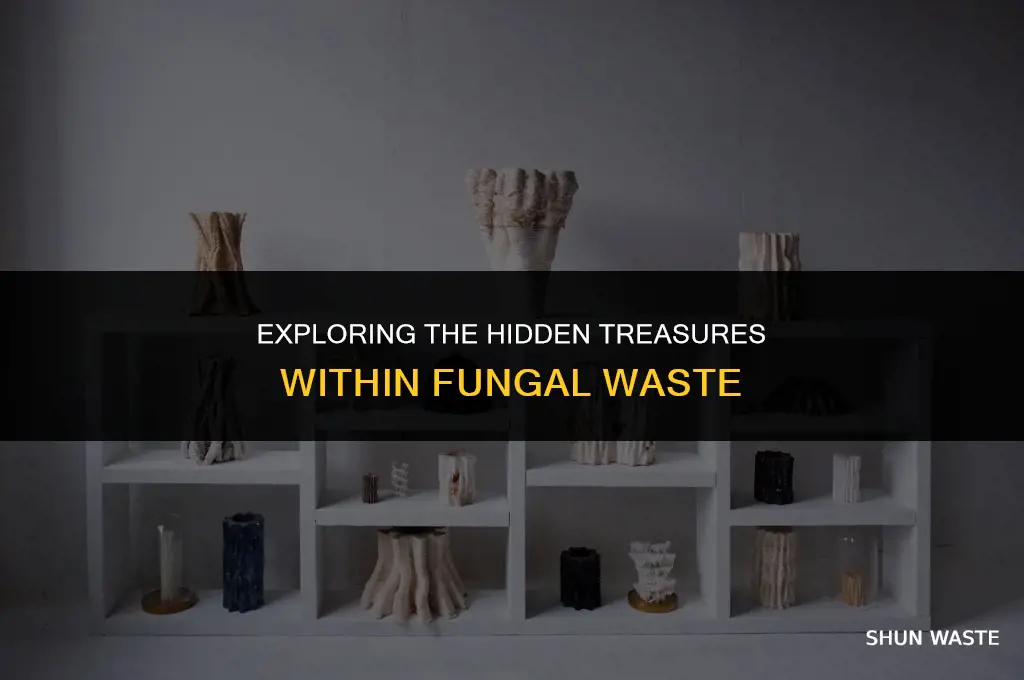 what you can find in the fungal waste