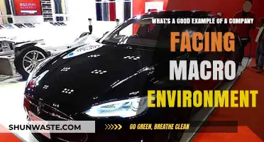 How Tesla Navigates Global Economic Shifts: A Macro Environment Case Study