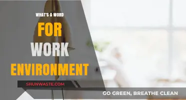 Exploring the Perfect Word to Describe Your Work Environment