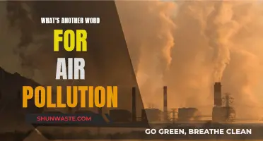 Exploring Synonyms for 'Air Pollution