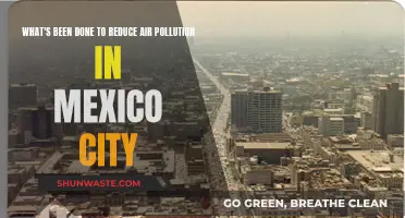 Mexico City's Air Pollution: Strategies and Results