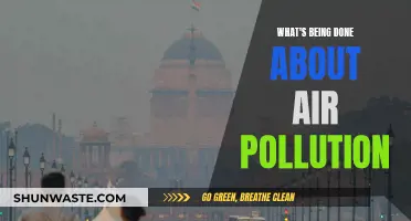 Air Pollution: Innovations for a Cleaner Tomorrow