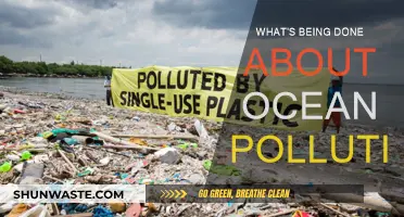 Ocean Pollution: Current Efforts and Initiatives