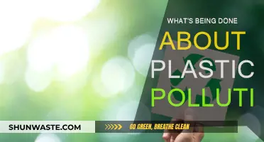 Battling Plastic Pollution: Current Initiatives and Their Impact
