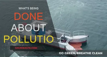 Fighting Pollution: What's Being Done and What's Next?