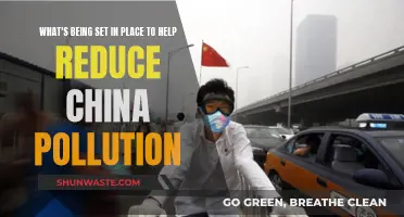 China's Pollution: Strategies for a Sustainable Future