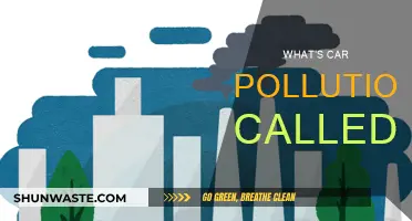 Car Pollution: What's the Real Damage?